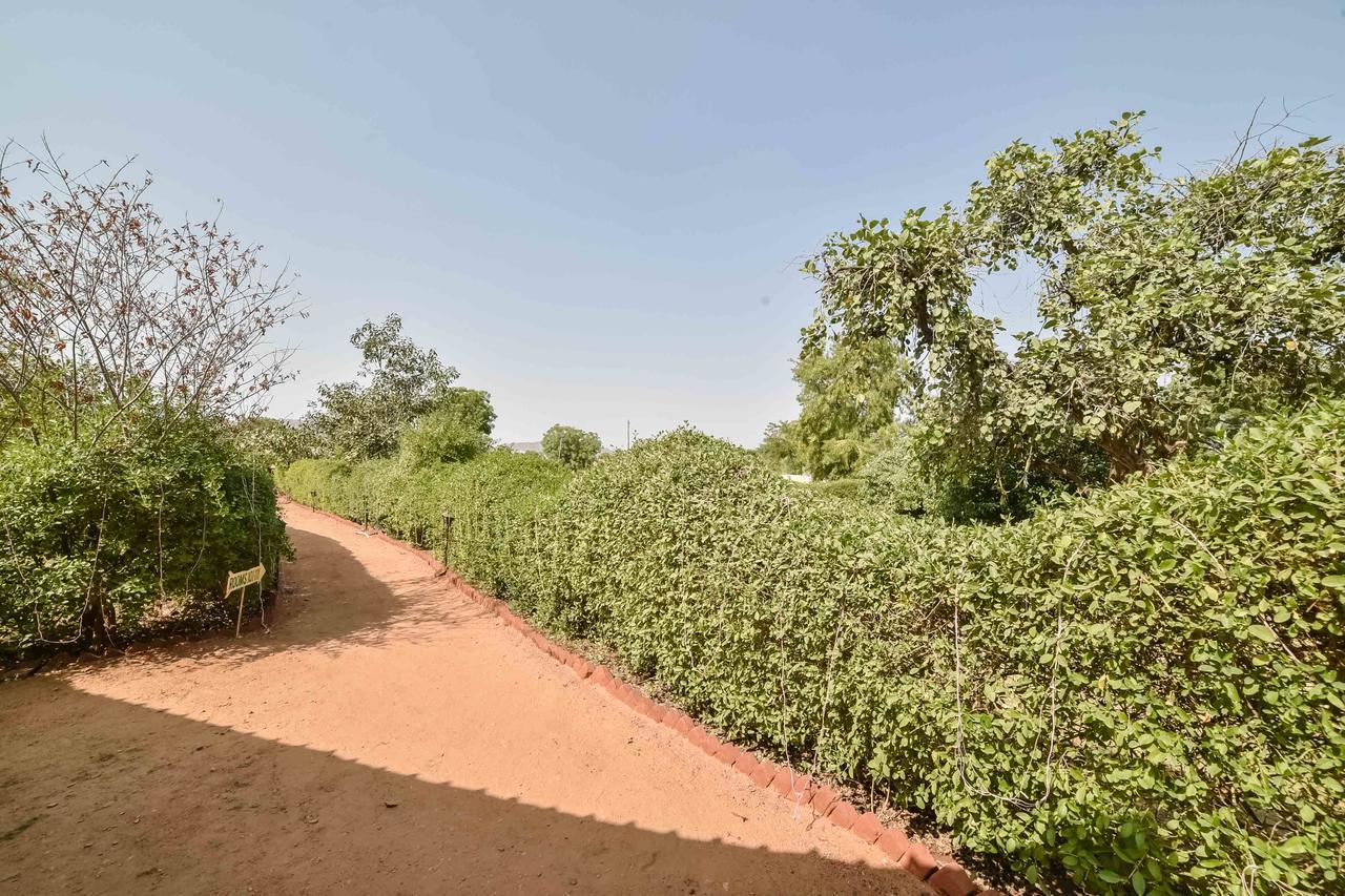 Pushkar Rajwara Resort Kültér fotó